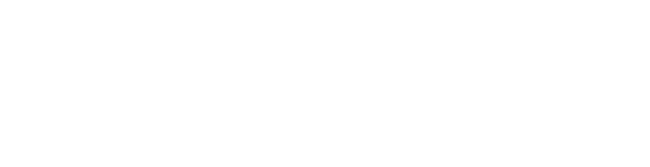 logo WaveSEO